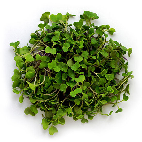 Microgreen Box