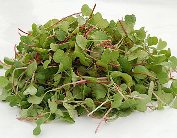 Microgreen Box